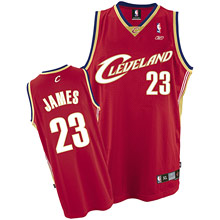 Reebok Cleveland Cavaliers Lebron James Swingman Road Jersey