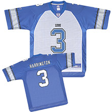 NFL Equipment Detroit Lions Double Reverse Replica Jersey