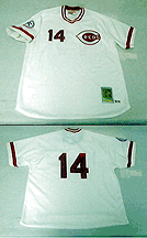 1976 Cincinnati Reds Home Jersey...Modern Era From Mitchell & Ness, With #5 On Jersey (Johnny Bench)